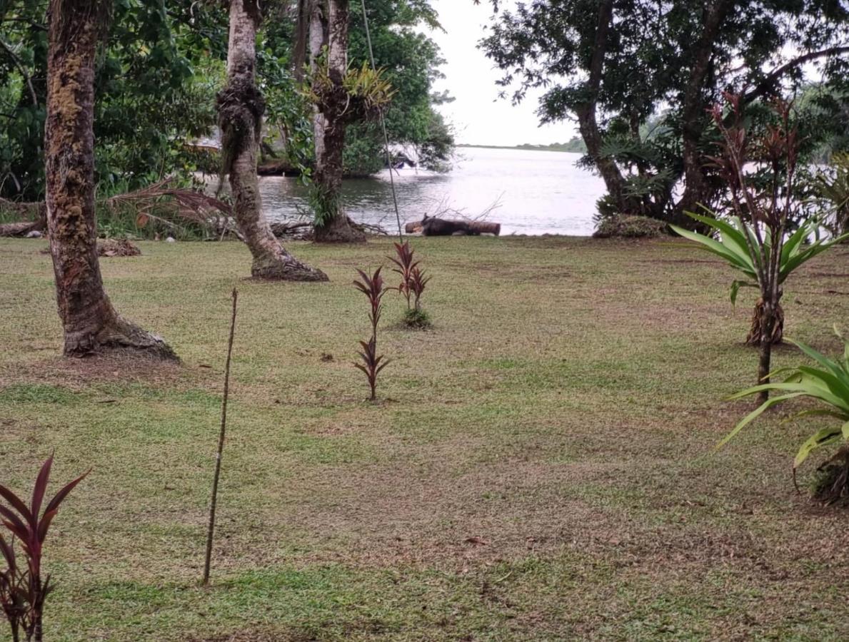 Cabinas Tortuguero Sports Fishing Exterior photo