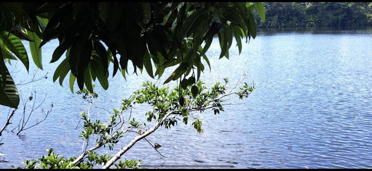 Cabinas Tortuguero Sports Fishing Exterior photo